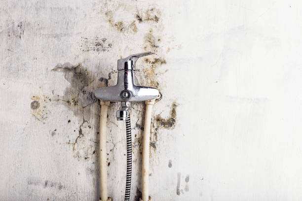 Best Water Damage Restoration  in Mill Hall, PA
