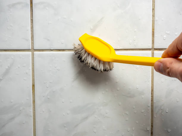 Best Residential Mold Removal  in Mill Hall, PA