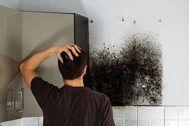 Best Mold Cleaning Services  in Mill Hall, PA